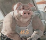 Will I ever&nbsp;learn?