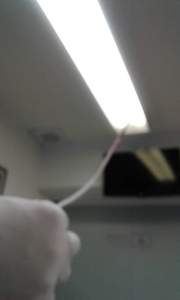 received_10207535782379993